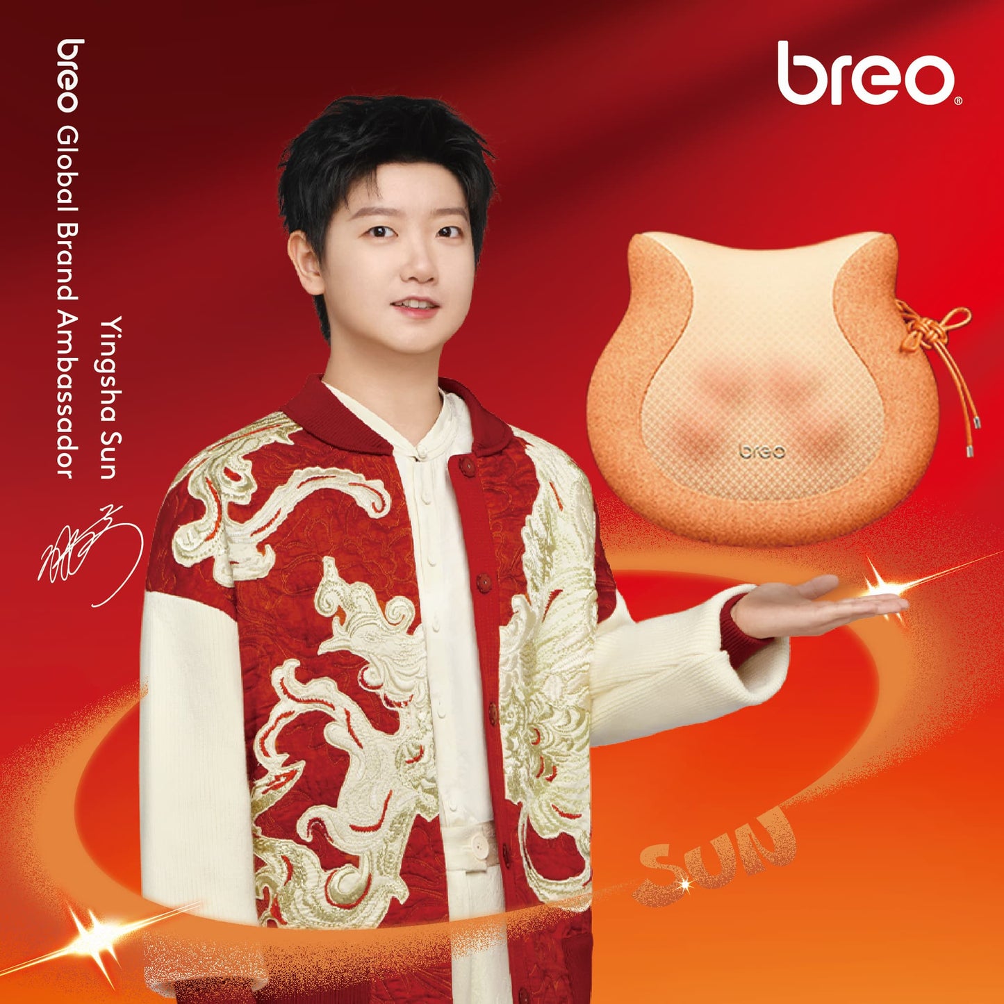 Breo - Back2F Massager Pillow